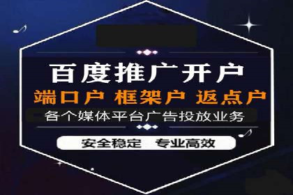 成功SEM服务案例分析报告